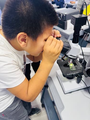 Science lab with microscope